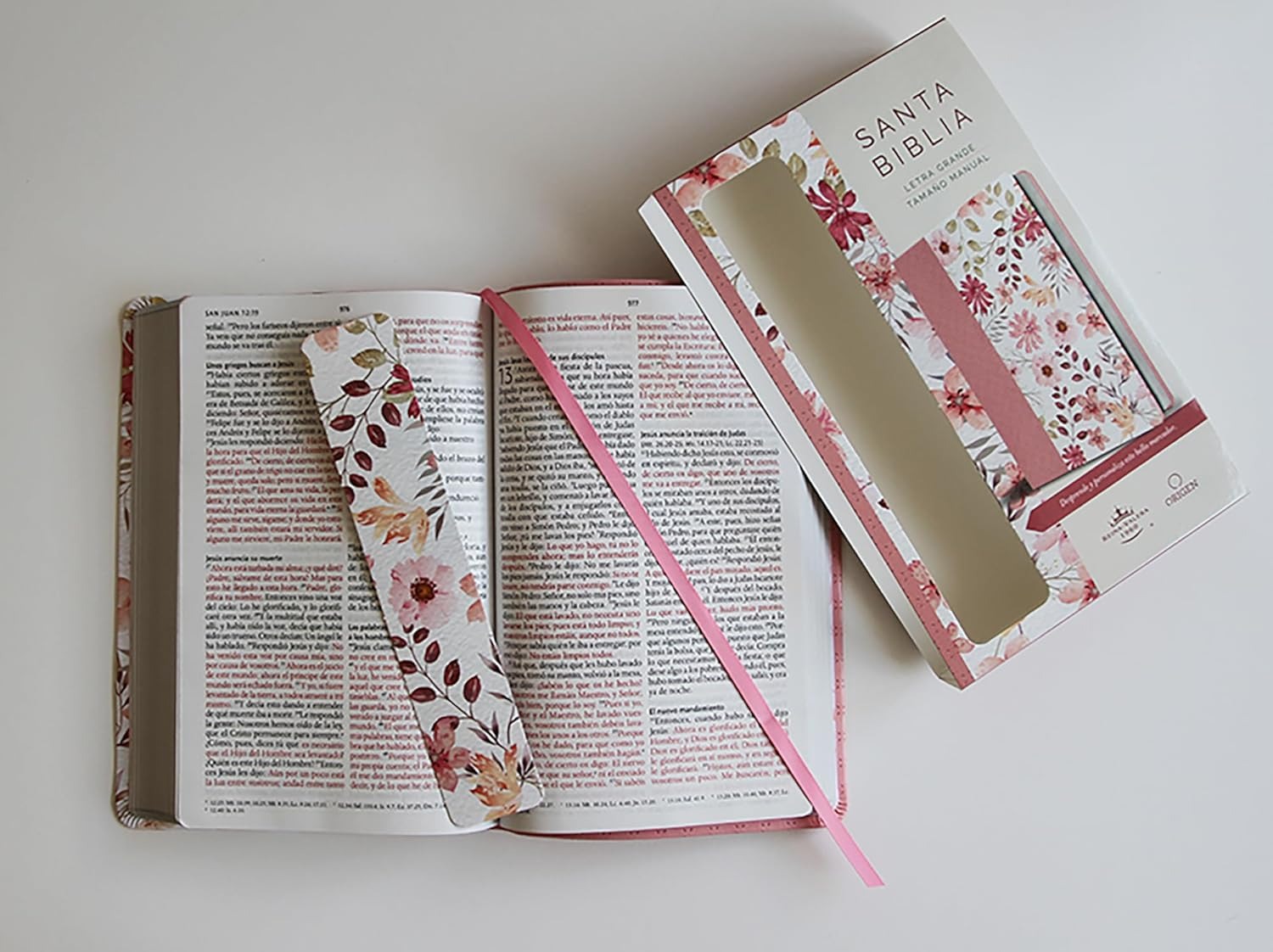 WhatsApp Image 2026-02-24 at 8.28.45 PM