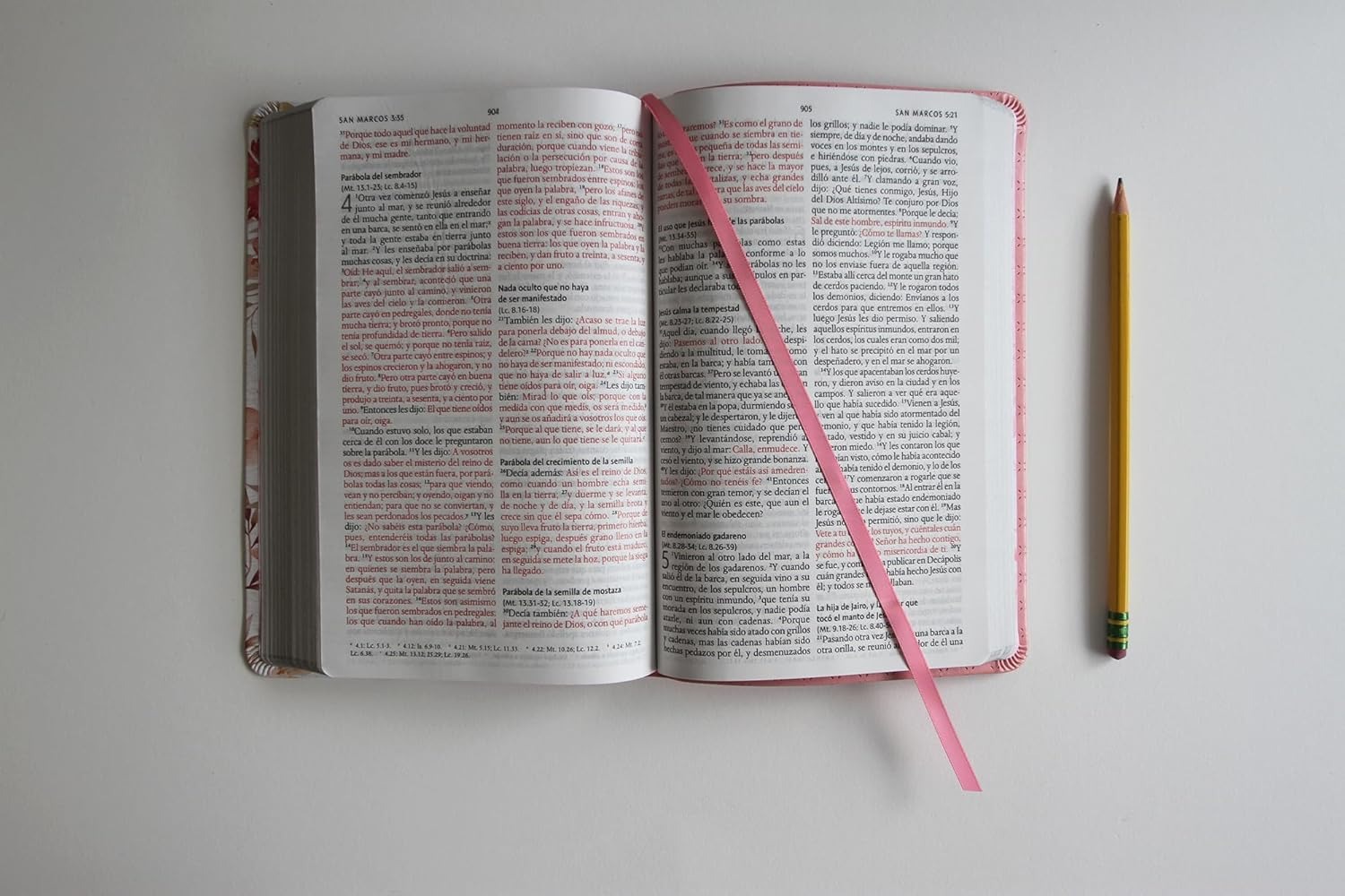 WhatsApp Image 2026-02-24 at 8.29.00 PM