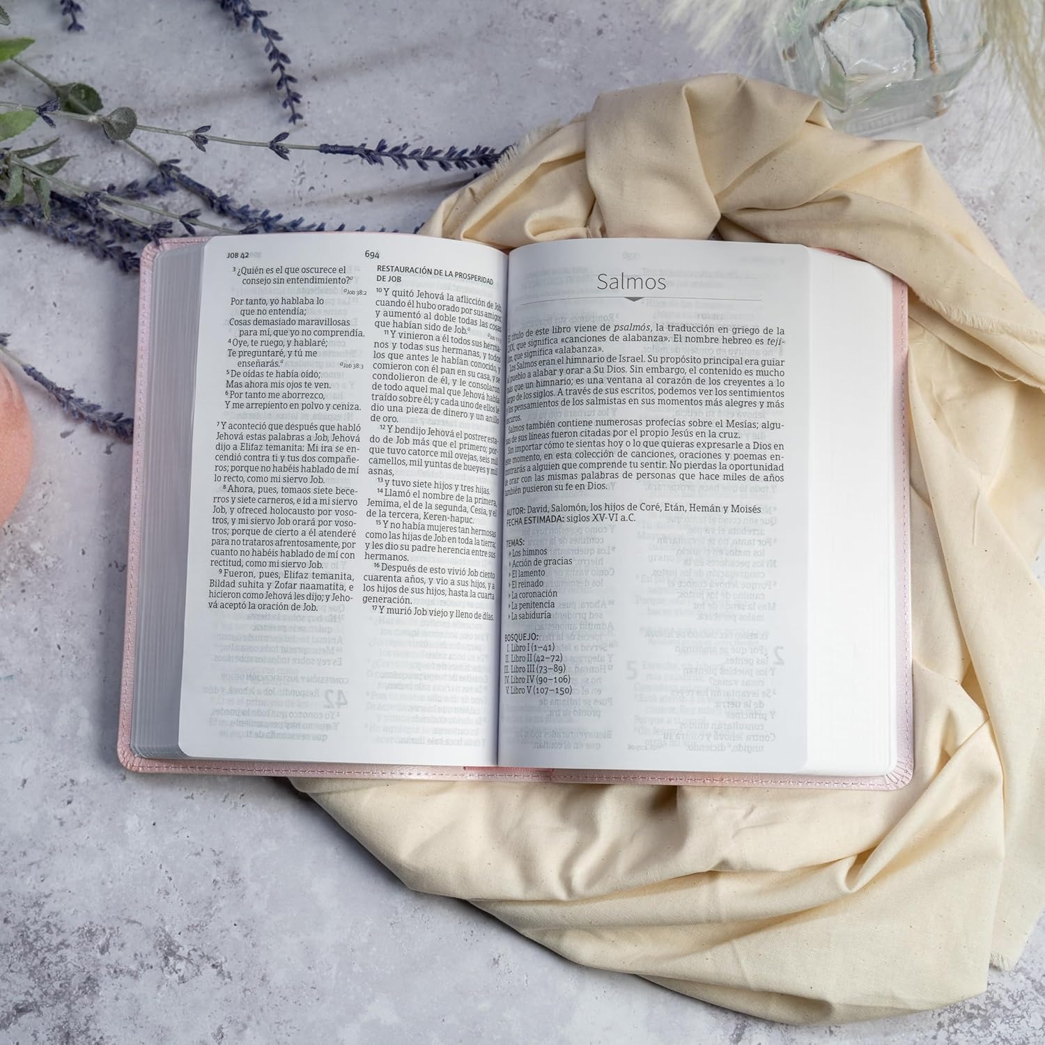 WhatsApp Image 2026-02-24 at 8.30.48 PM