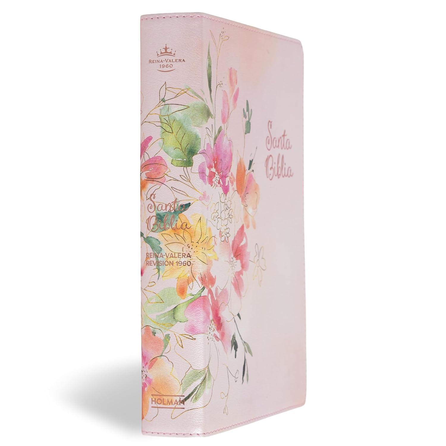 WhatsApp Image 2026-02-24 at 8.31.12 PM