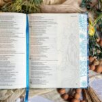 La Biblia de Apuntes Reina Valera 1960, Edición Ilustrada