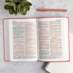 Santa Biblia para Regalos y Premios Reina Valera 1960 – Edición Especial con Página de Presentación y Palabras de Cristo en Rojo